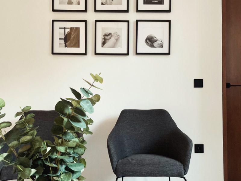 interior-centro-natum
